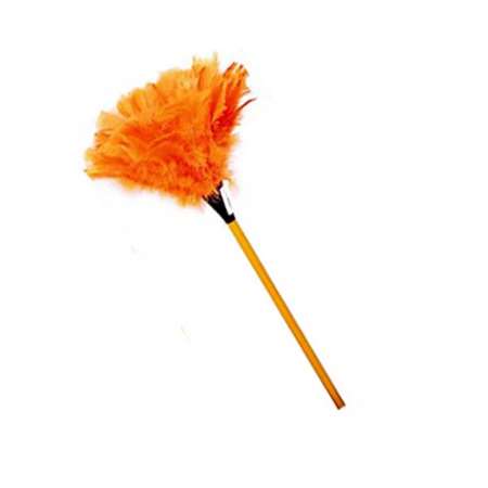 Image de PLUMEAU DINDE COULEUR