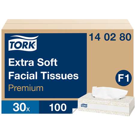 Image de MOUCHOIR PREMIUM BLANC 2 PLIS RECTANGLE X100 - COLIS DE 30