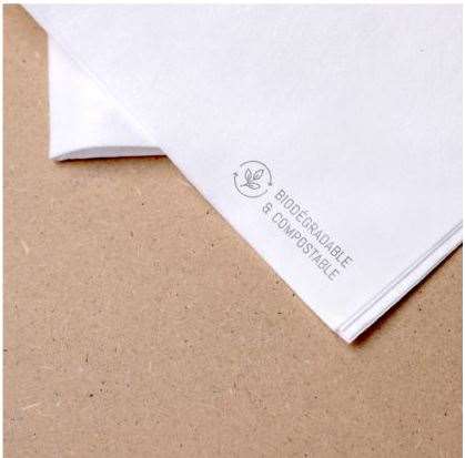 SERVIETTE BLANCHE NATURE 48x48 CELYTISS PAR 400
