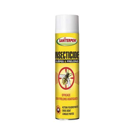 Image de AÉRO INSECTICIDE GUEPES ET FRELONS 600ml