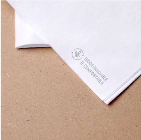 SERVIETTE BLANCHE NATURE 40x40 CELYTISS PAR 400