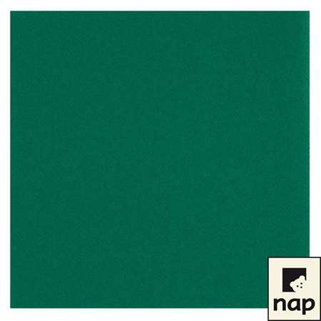 SERVIETTE VERTE 40x40 R'SOFT PAR 600 (vif)