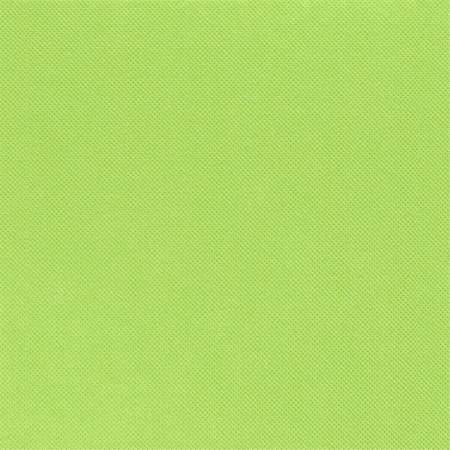 Image de SERVIETTE PISTACHE 38x38 CÉLI-OUATE PAR 900 (pastel)