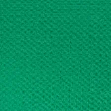 Image de SERVIETTE VERT LUMIÈRE 38x38 CÉLI-OUATE PAR 900 (vif)