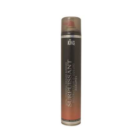 Image de AÉRO DESTRUCTEUR ODEURS AGRUMES 750mL (king)