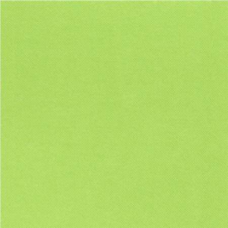 Image de SERVIETTE PISTACHE 38x38 CÉLI-OUATE LUNCH PAR 900 (pastel)