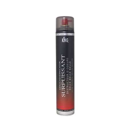 Image de AERO DESTRUCTEUR ODEURS BELLE SURPUISSANT 750ml (King)