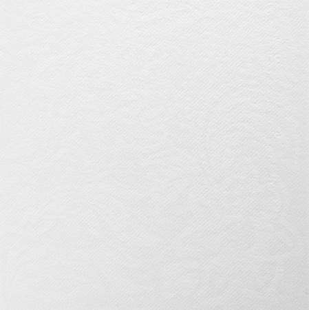 SERVIETTE BLANCHE FLORALIES 40x40 CÉLISOFT PAR 800